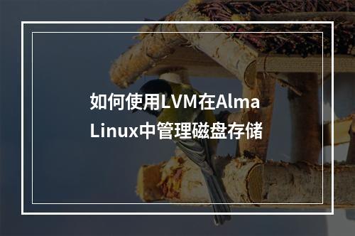 如何使用LVM在Alma Linux中管理磁盘存储