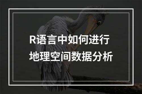 R语言中如何进行地理空间数据分析