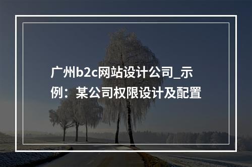 广州b2c网站设计公司_示例:某公司权限设计及配置