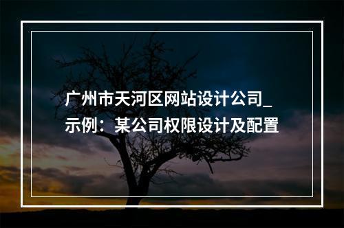 广州市天河区网站设计公司_示例:某公司权限设计及配置