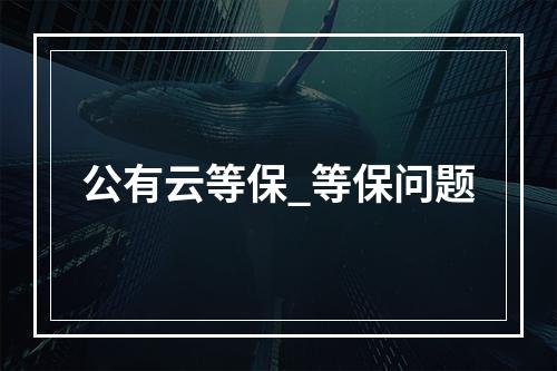 公有云等保_等保问题