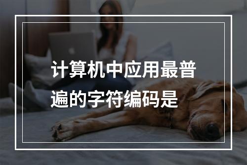 计算机中应用最普遍的字符编码是