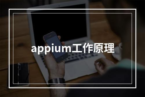 appium工作原理