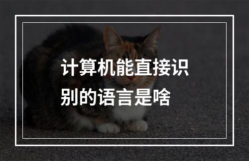 计算机能直接识别的语言是啥
