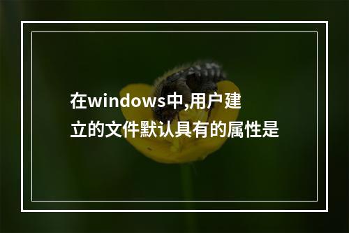 在windows中,用户建立的文件默认具有的属性是