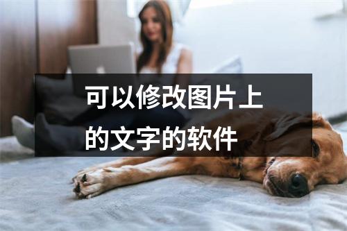 可以修改图片上的文字的软件