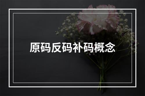 原码反码补码概念