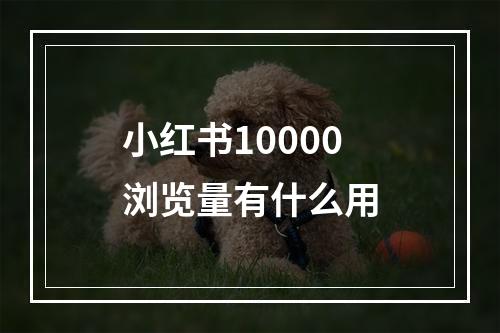小红书10000浏览量有什么用