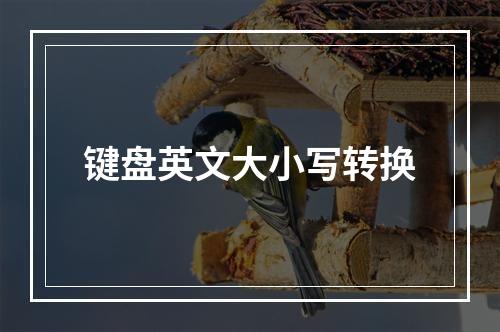 键盘英文大小写转换