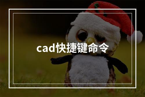 cad快捷键命令