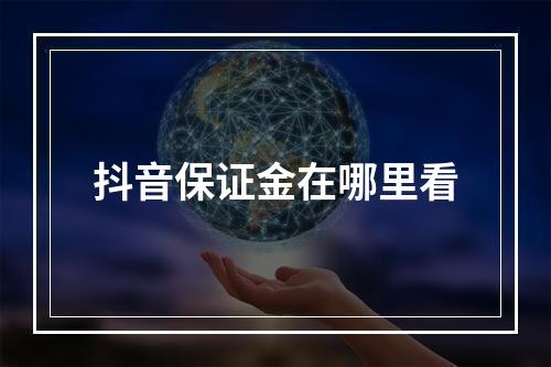 抖音保证金在哪里看