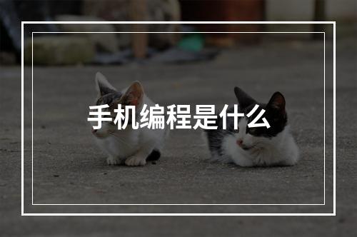 手机编程是什么