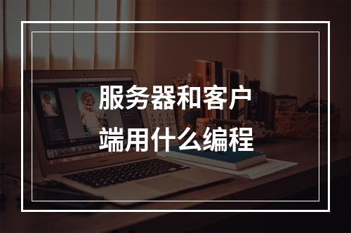 服务器和客户端用什么编程