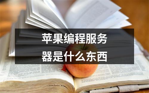 苹果编程服务器是什么东西