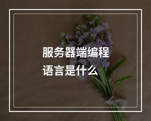 服务器端编程语言是什么