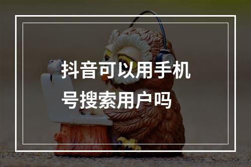 抖音可以用手机号搜索用户吗