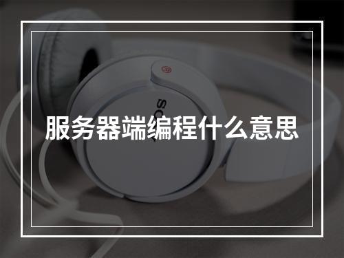 服务器端编程什么意思