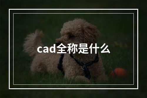 cad全称是什么