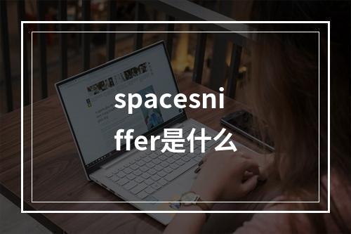 spacesniffer是什么