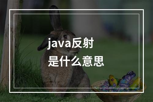 java反射是什么意思