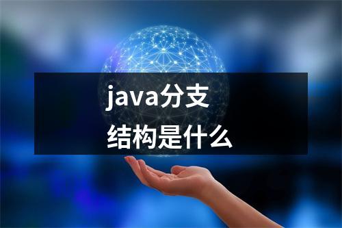 java分支结构是什么