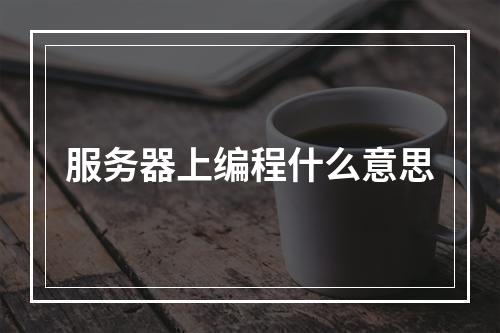 服务器上编程什么意思