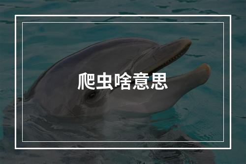 爬虫啥意思