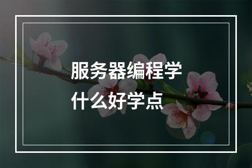 服务器编程学什么好学点