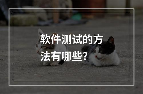 软件测试的方法有哪些?