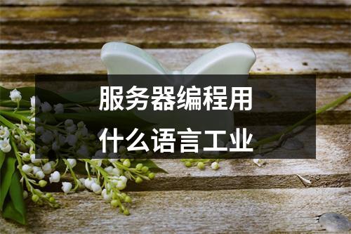 服务器编程用什么语言工业