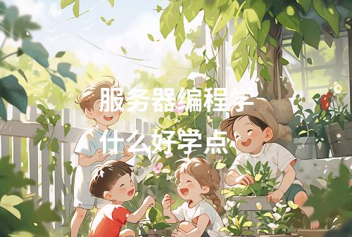 服务器编程学什么好学点