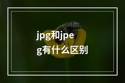 jpg和jpeg有什么区别