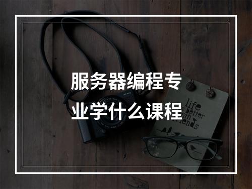 服务器编程专业学什么课程
