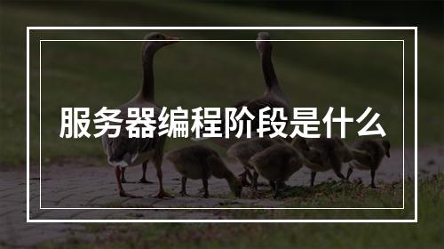 服务器编程阶段是什么