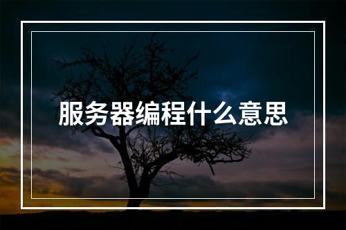 服务器编程什么意思