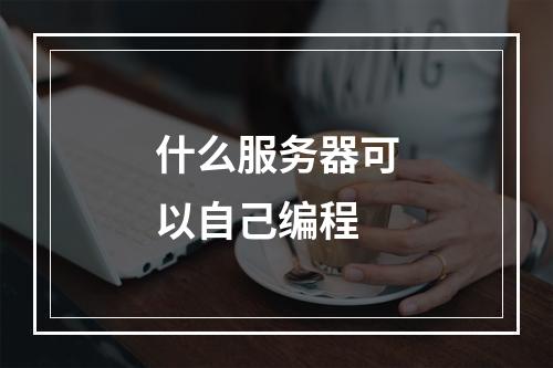 什么服务器可以自己编程