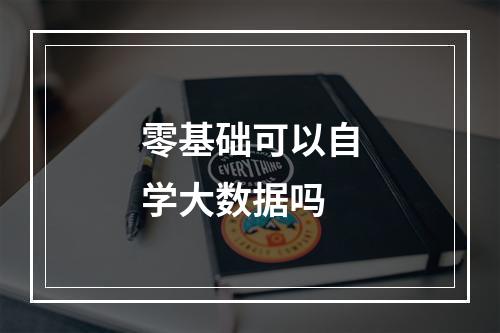 零基础可以自学大数据吗