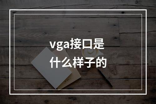 vga接口是什么样子的