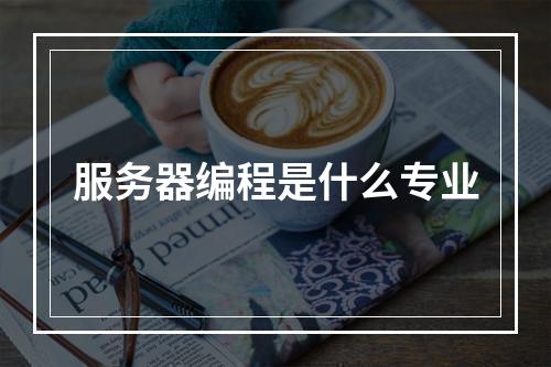 服务器编程是什么专业