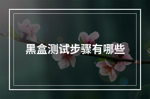 黑盒测试步骤有哪些