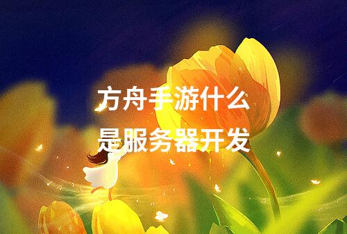 方舟手游什么是服务器开发
