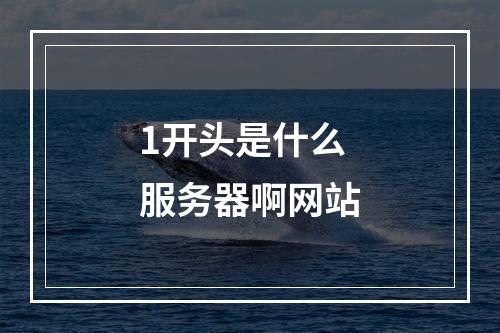 1开头是什么服务器啊网站