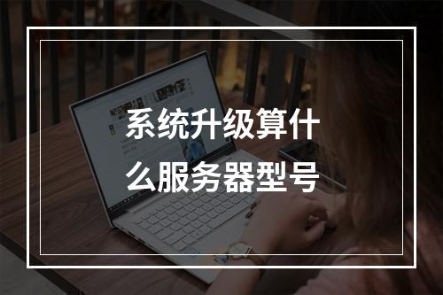 系统升级算什么服务器型号