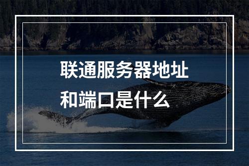 联通服务器地址和端口是什么