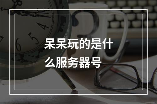 呆呆玩的是什么服务器号