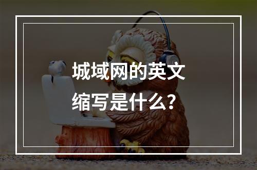 城域网的英文缩写是什么?