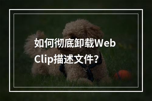 如何彻底卸载Web Clip描述文件?