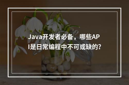 Java开发者必备,哪些API是日常编程中不可或缺的?