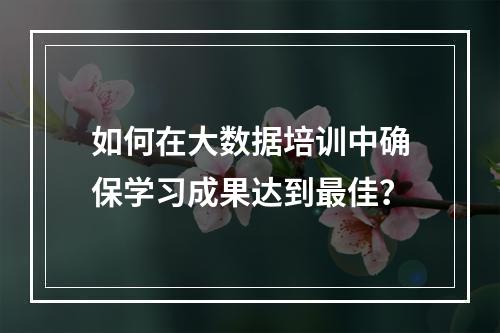 如何在大数据培训中确保学习成果达到最佳?