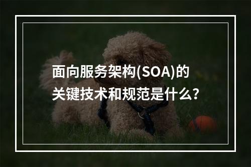 面向服务架构(SOA)的关键技术和规范是什么?